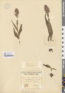 LE 01272915