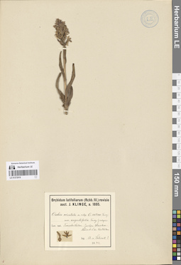 LE 01272919