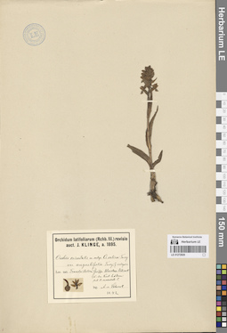 LE 01272920