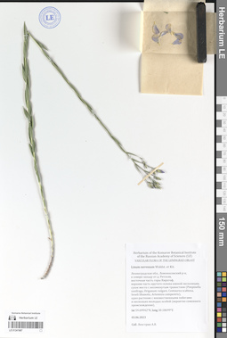 LE 01241987