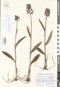 LE 01028789