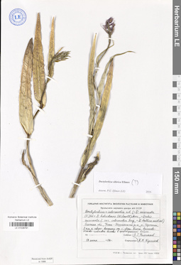 LE 01028791