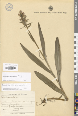 LE 01028792