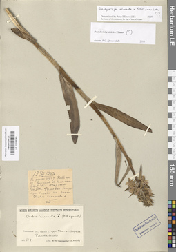 LE 01028793