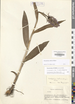 LE 01028801