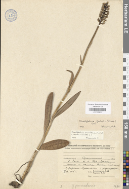 LE 01028812