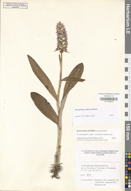 LE 01028819