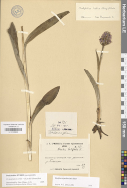 LE 01028824