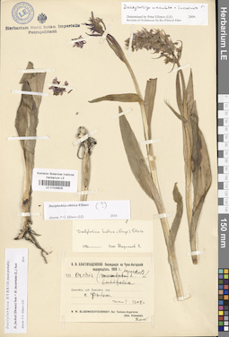 LE 01028829