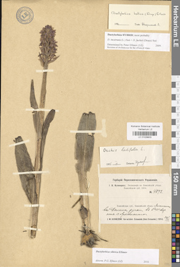 LE 01028833