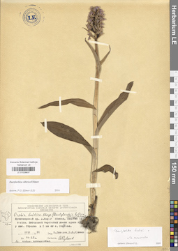 LE 01028837