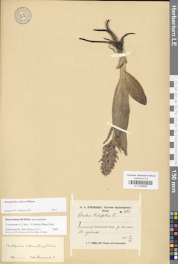 LE 01028838