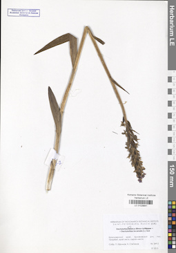 LE 01028841