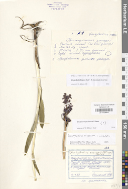 LE 01028843