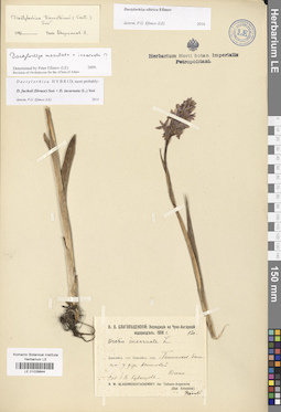 LE 01028844
