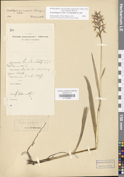 LE 01028861
