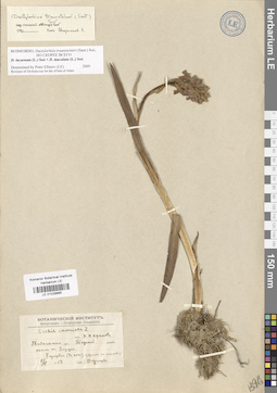 LE 01028865