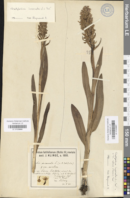 LE 01028867
