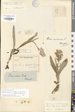 LE 01028871
