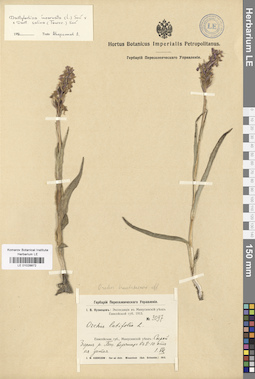 LE 01028872