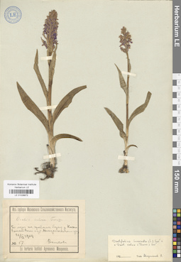 LE 01028873