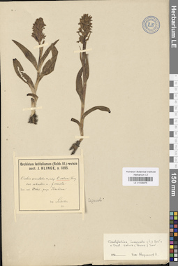 LE 01028876