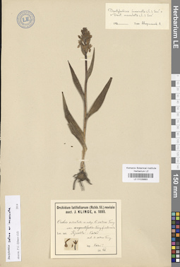 LE 01028883