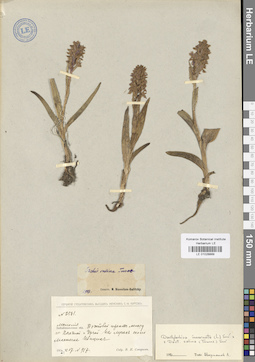 LE 01028889
