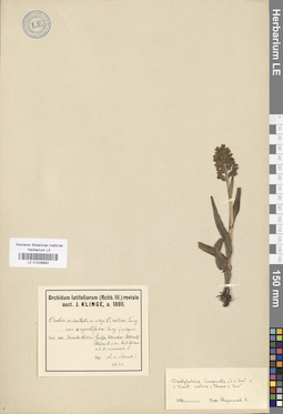 LE 01028892