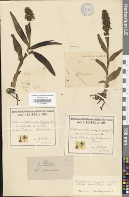 LE 01028893