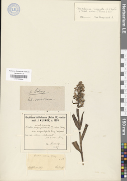 LE 01028894