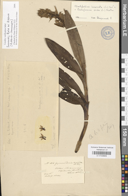 LE 01028909