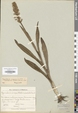 LE 01028911