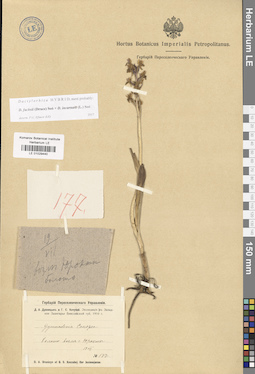 LE 01029440