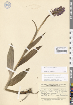 LE 01272945