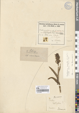 LE 01272959