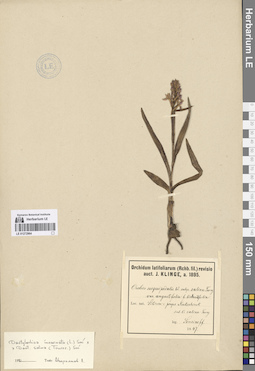 LE 01272964