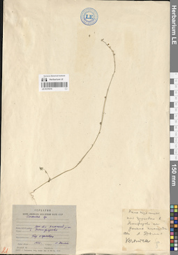 LE 01270318