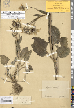 LE 01081042