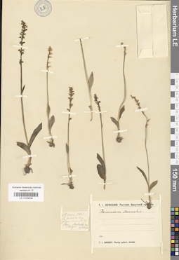 LE 01029038