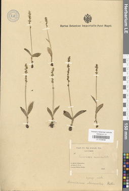 LE 01029039