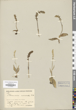 LE 01029040