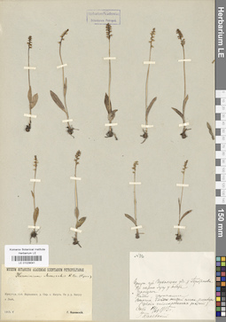 LE 01029041