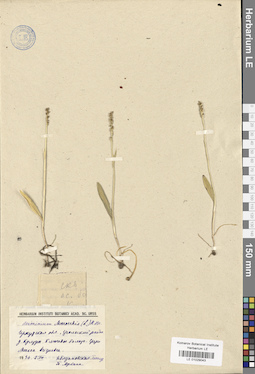 LE 01029043
