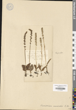 LE 01029047
