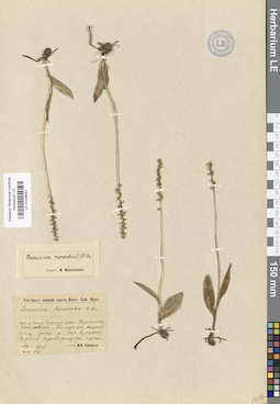 LE 01029051