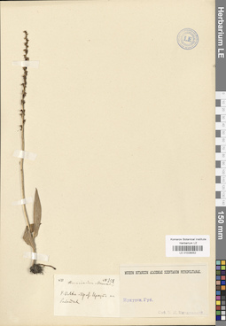 LE 01029052