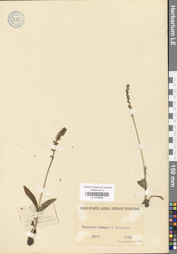 LE 01029053