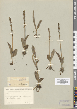 LE 01029055