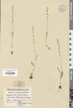 LE 01029057